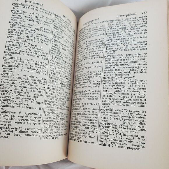 McLaughlin's Dictionary Of The Polish & English Languages 1944 Hardcover HC - Picture 11 of 12